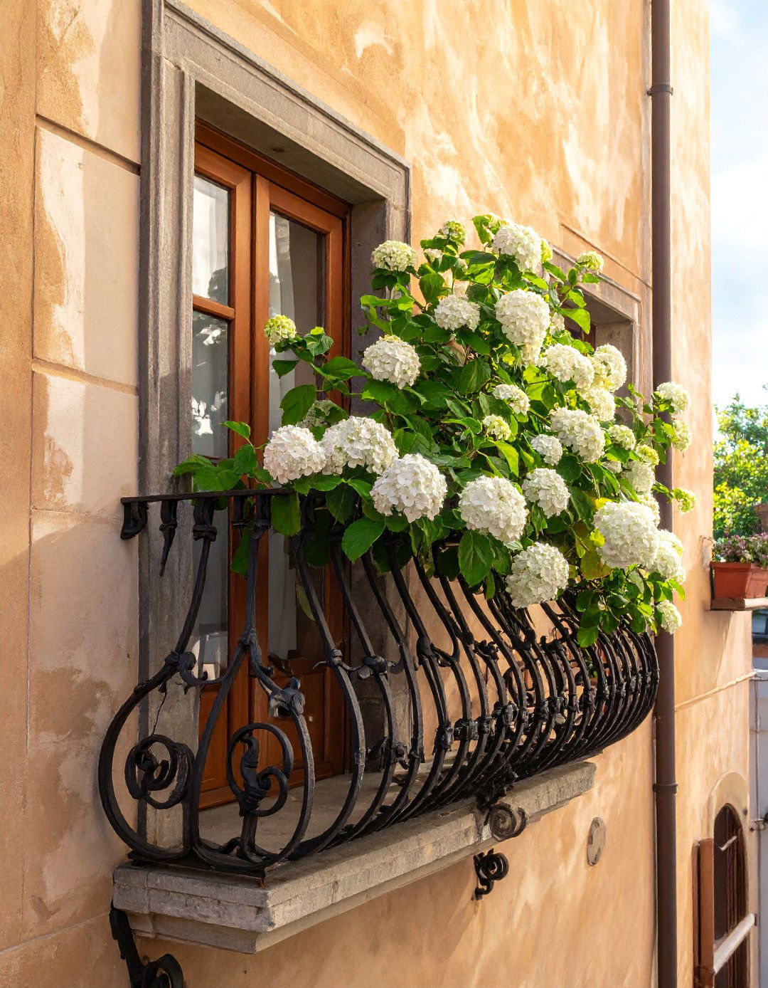 Wrought Iron Scrollwork Balcony Trellis - 20 Balcony Trellis Ideas for Outdoor Living Spaces