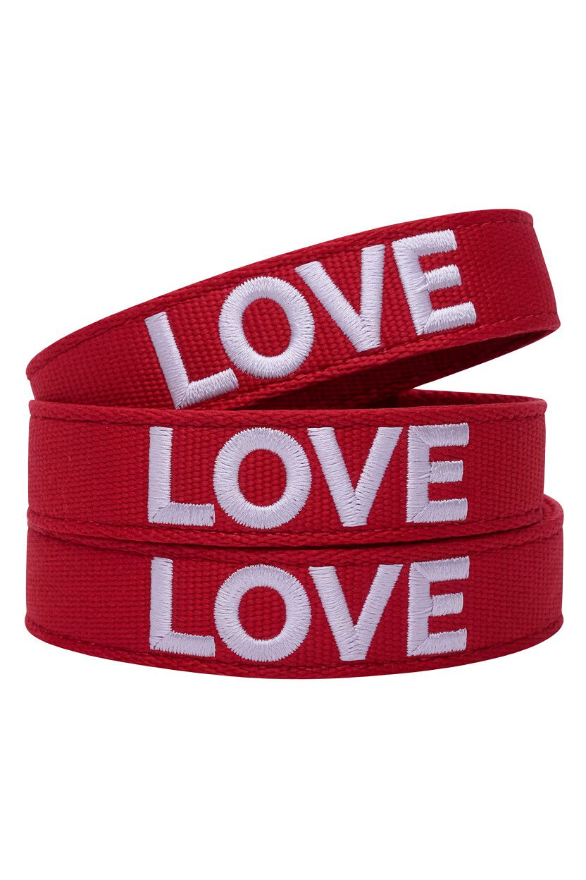 Embroidered Love Pet Leash - 25 Valentine's Day Pet Leash Ideas