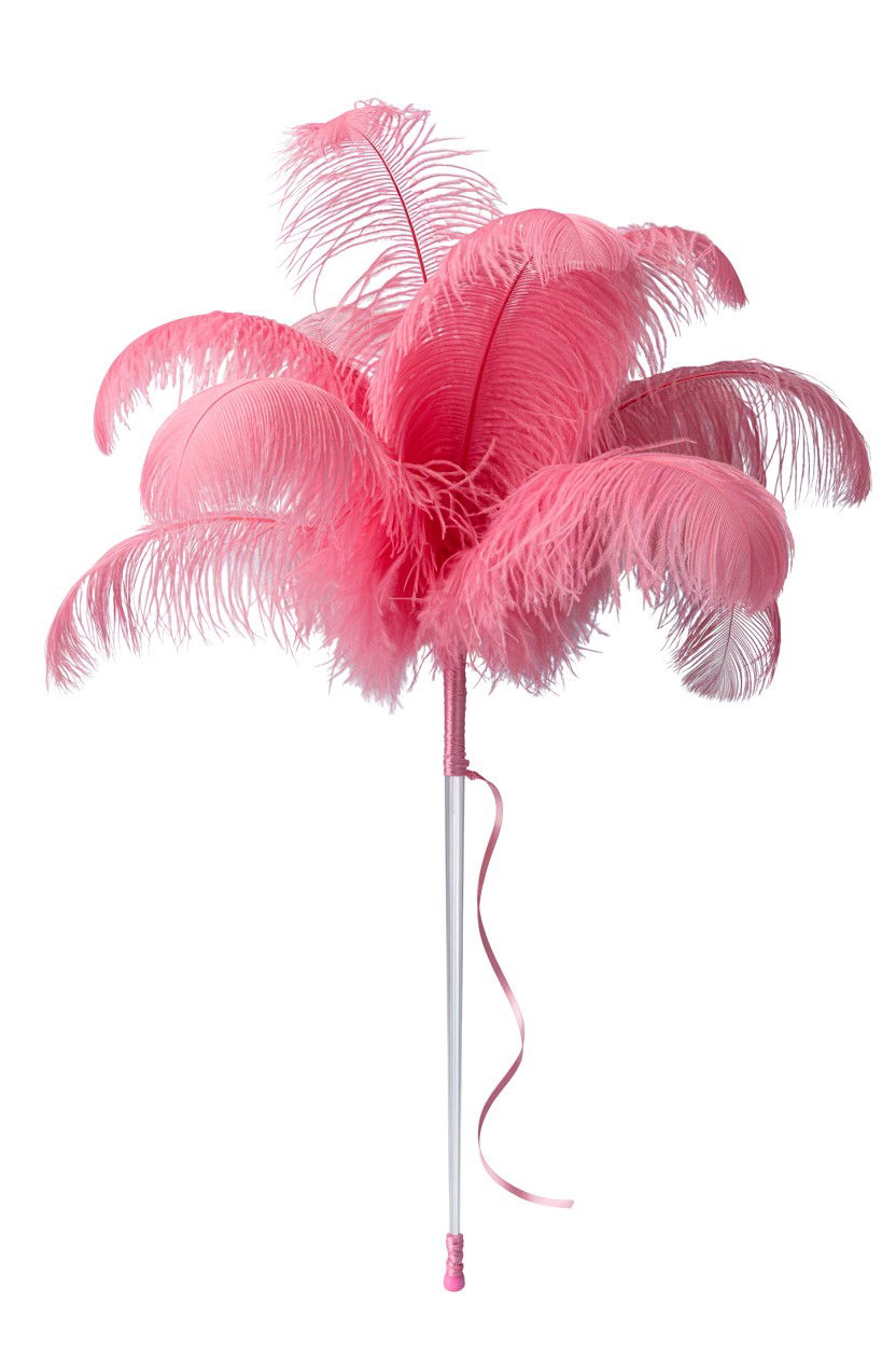 Pink Feather Wand - 25 Valentine's Day Pet Toy Ideas
