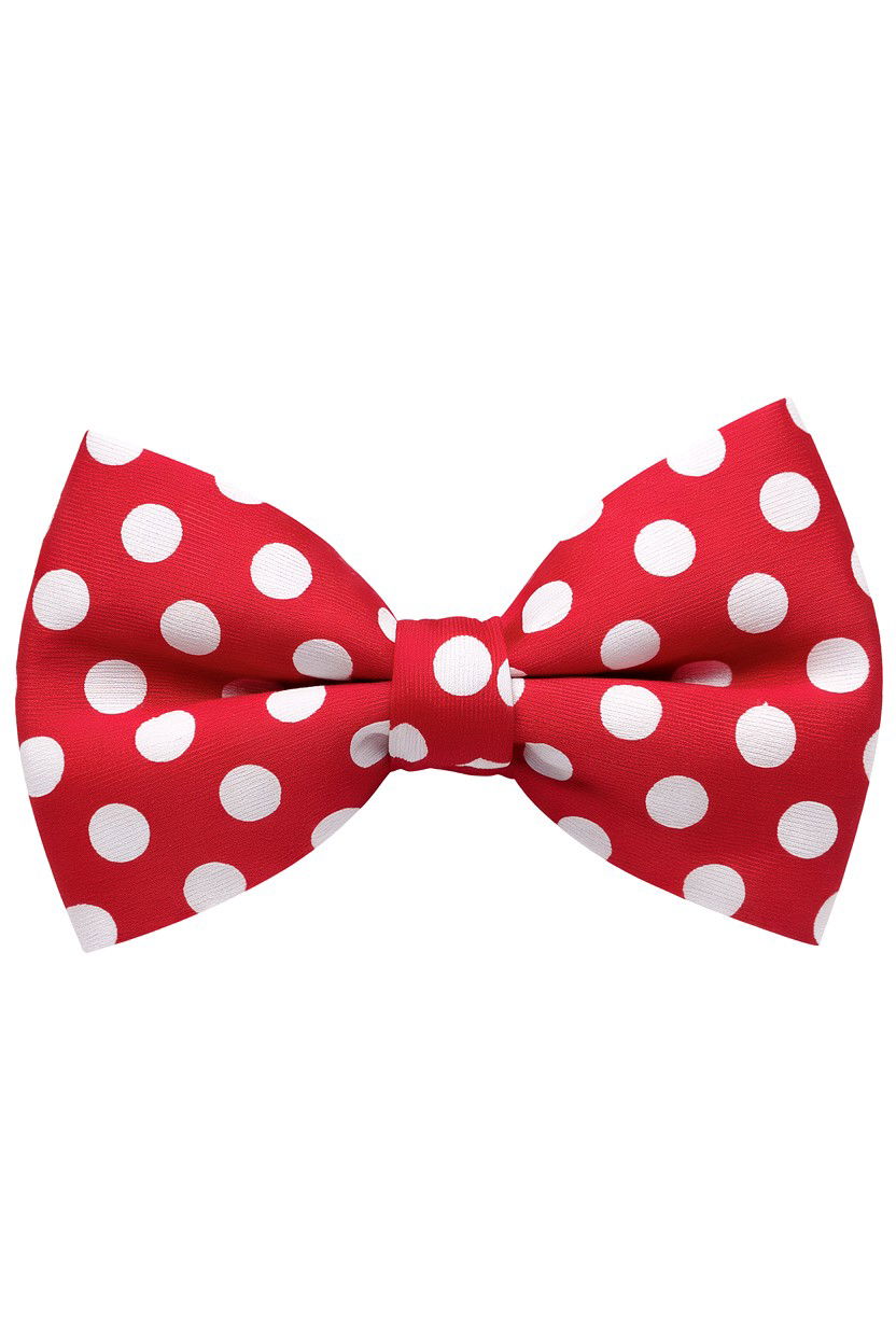 25 Dapper Valentine's Day Pet Bow Tie Ideas for Style