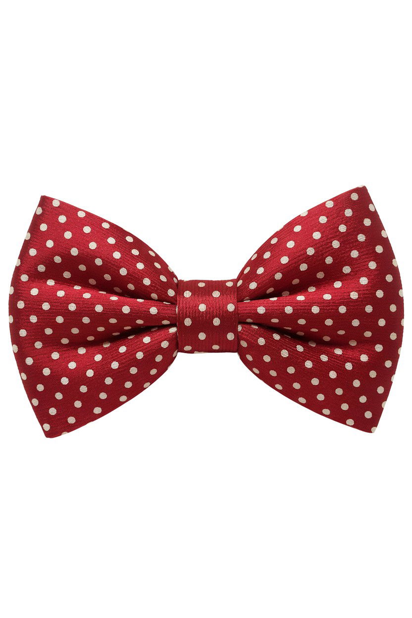 Red Bow Tie For Pets - 25 Valentine's Day Pet Gift Ideas