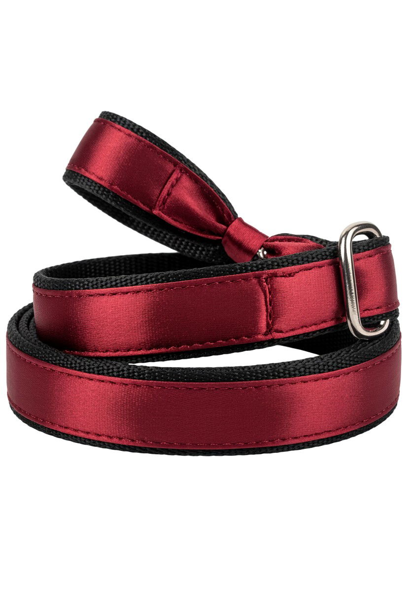 Satin Ribbon Pet Leash - 25 Valentine's Day Pet Leash Ideas