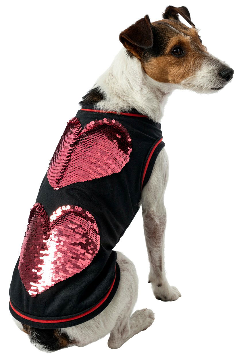 Sequin heart dog apparel - 25 Valentine's Day Pet Dress Ideas