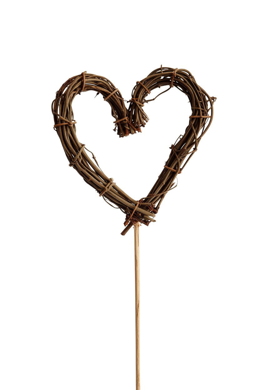 Silvervine heart stick - 25 Valentine's Day Cat Toy Ideas