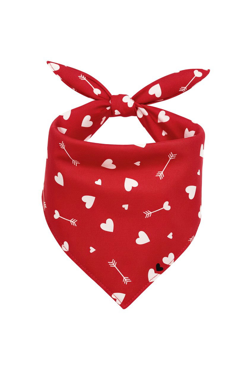 Valentine Dog Bandana - 25 Valentine's Day Pet Photoshoot Ideas
